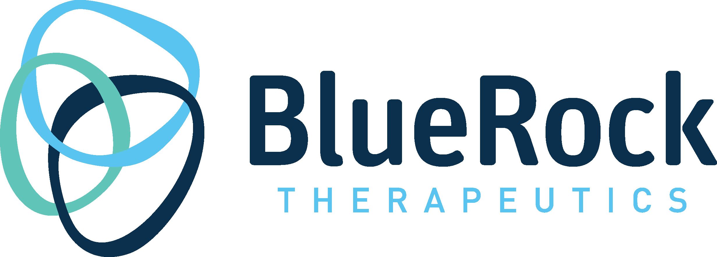 BlueRock-Logo-Full-Color-Final
