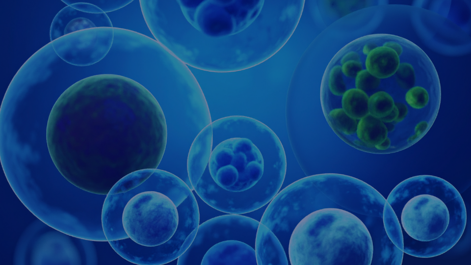 iPSC Drug Development Summit Background