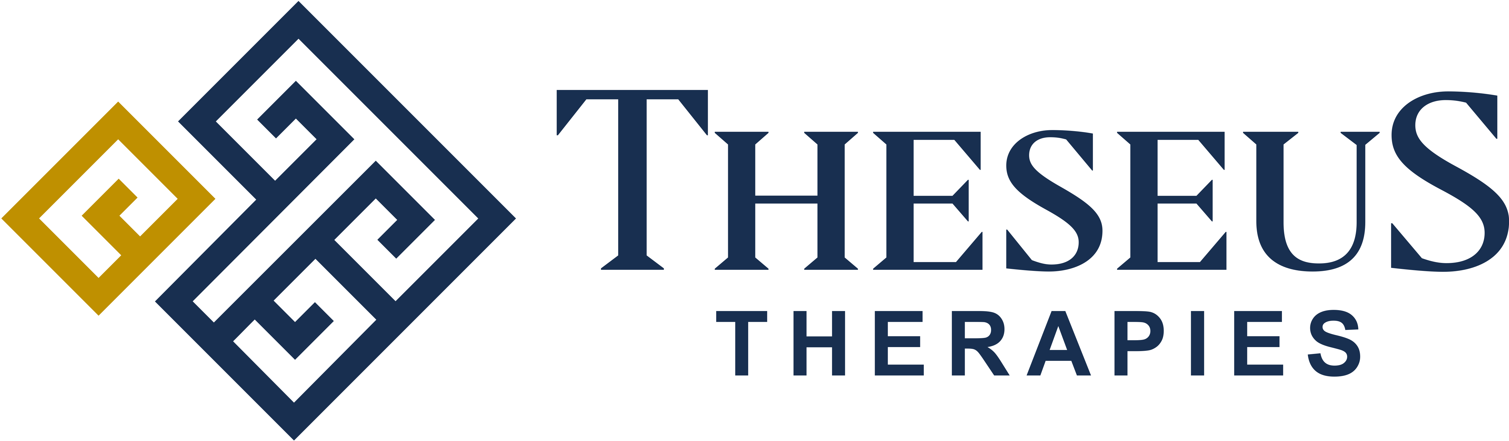 Theseus-Logo-Horiz-Normal